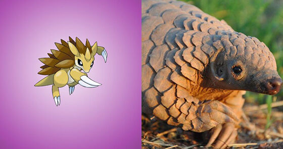 Sandslash