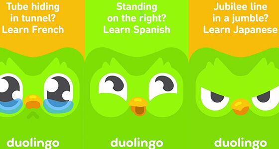 Duolingo 03155