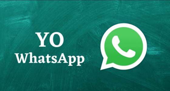 YO WhatsApp 4631a