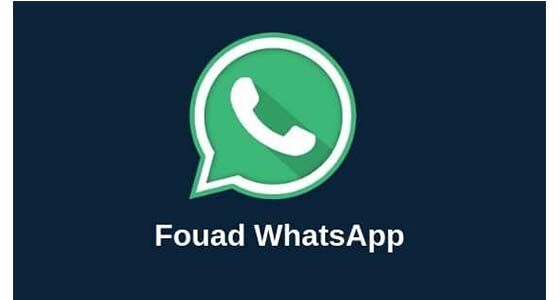 Fouad WhatsApp 5c4d9