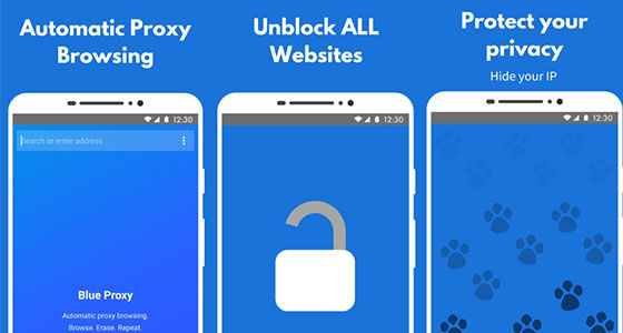 Blue Proxy A90cb