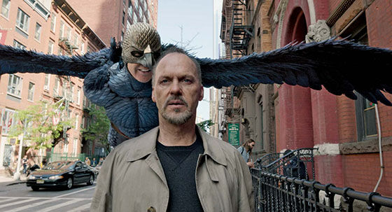 Birdman 40976