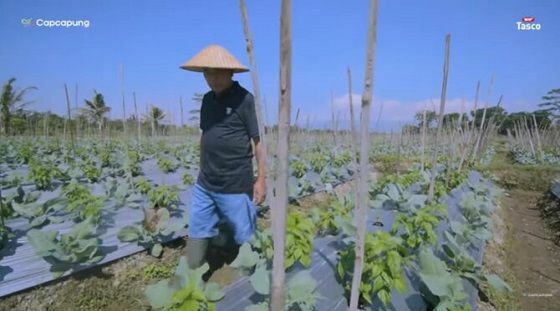 Suharto Di Tengah Lahan Pertanian Miliknya 43d13 1 0ee17