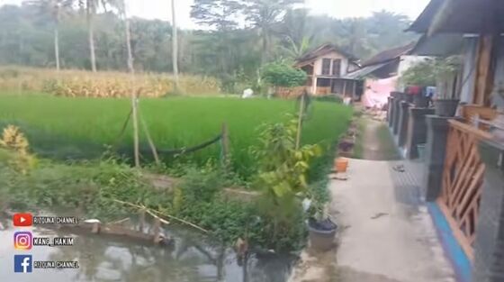 2 Sawah E4f09