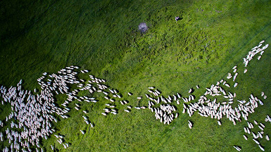 Foto Drone Paling Memukau 10