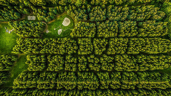 Foto Drone Paling Memukau 16