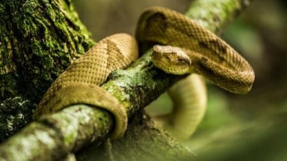 7 Tempat Dibumi Yang Tidak Boleh Dikunjungi D52a6