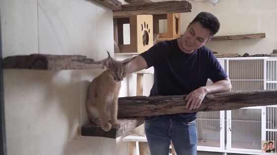 Rumah Kucing Baim Wong 0a4bd