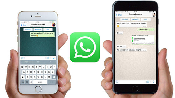Whatsapp Offline