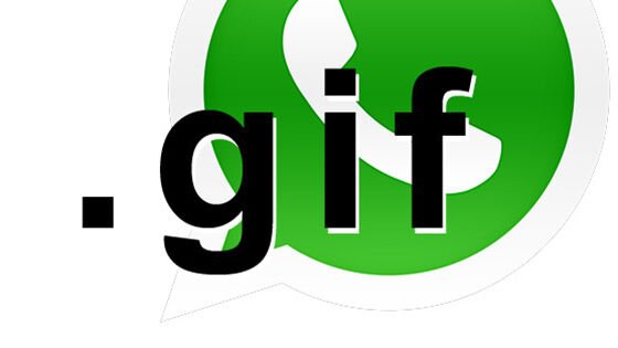 Cara Convert Video Ke Gif Di Whatsapp