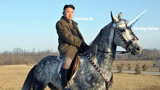 Unicorn Fakta Kehidupan Korea Utara