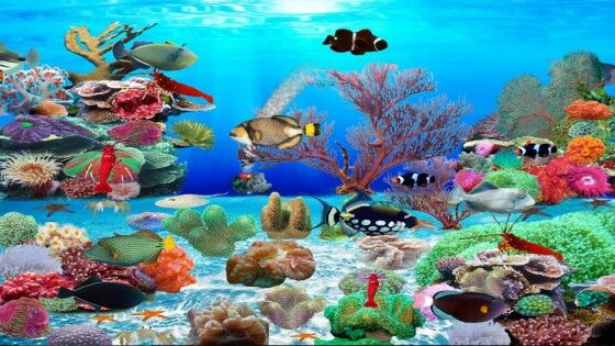 Wallpaper Aquarium Bergerak Windows 7 2 48af0