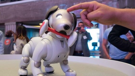 Fakta Tahun 2025 50 Pekerjaan Manusia Diambil Robot 1 639fb