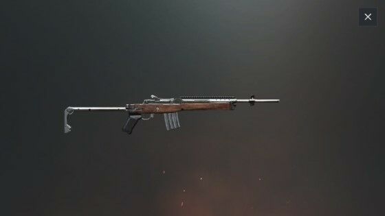 5 Dbf1d