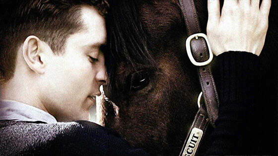 Seabiscuit Ce592