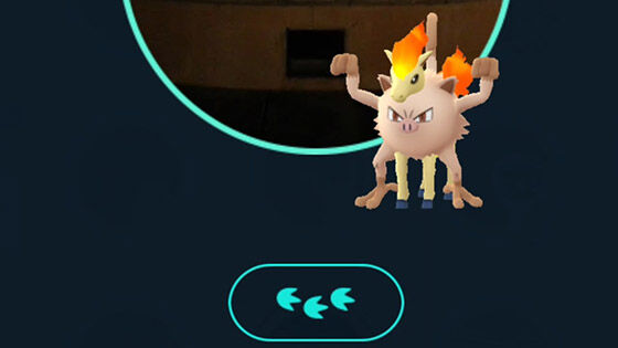 Merged Pokemon Cbf99