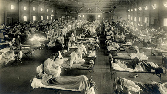 Spanish Flu C91ab