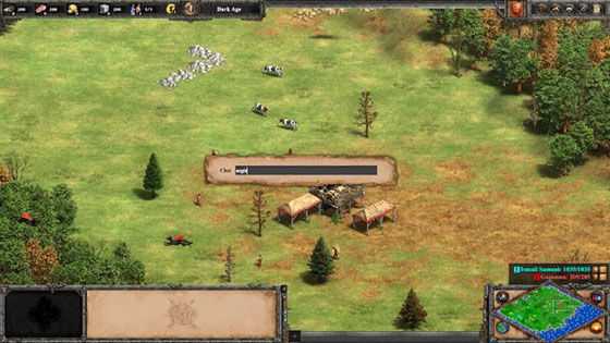 cheat code for age of empire 2