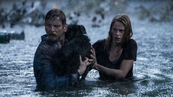 Crawl 2019 4a2ca