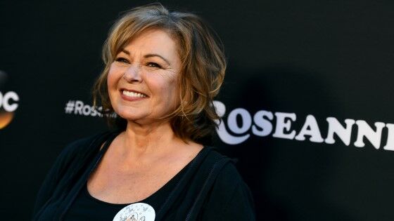 Roseanne Barr Aktor Yang Karir Hancur Di Media Sosial D213c