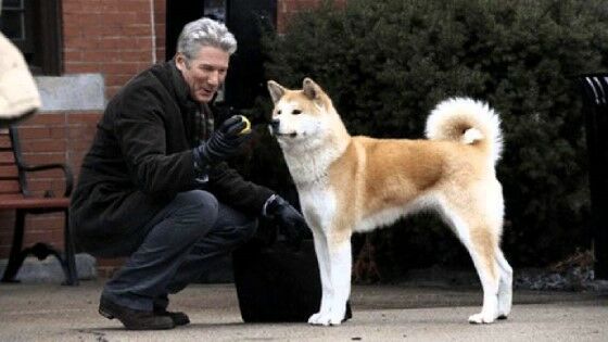 Hachiko A Dogs Story E4d4f