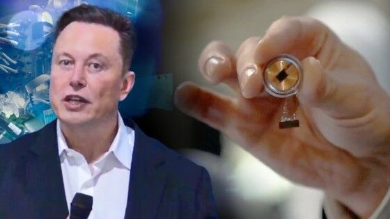 Chip Elon Musk 1 Custom 2b319