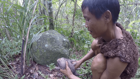 Suara Tarzan 83b79