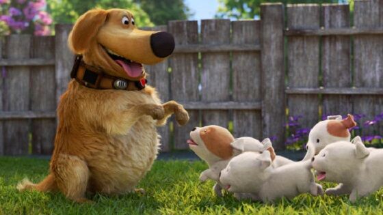 Dug Days Series 72849