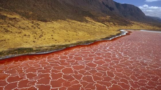 Danau Berbahaya Di Afrika 91336