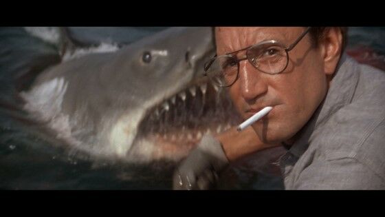 Jaws A8e54