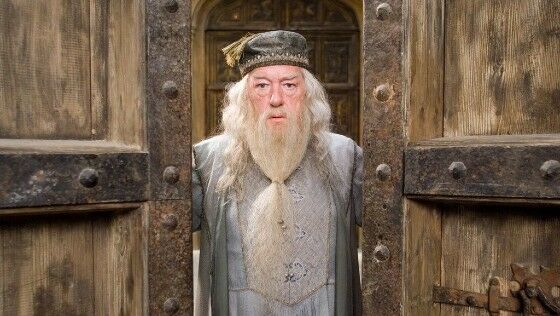 Albus Dumbledore F2957
