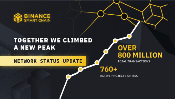 Binance Smart Chain Wallet 63012