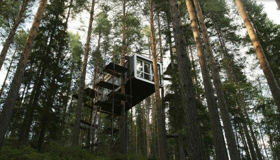 Rumah Di Hutan Ba793