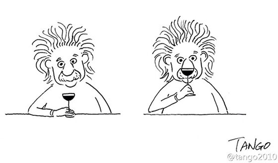 Albert Einstein Atau Simba