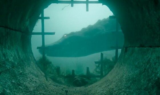 Review Nonton Film Crawl 2 1e6b3