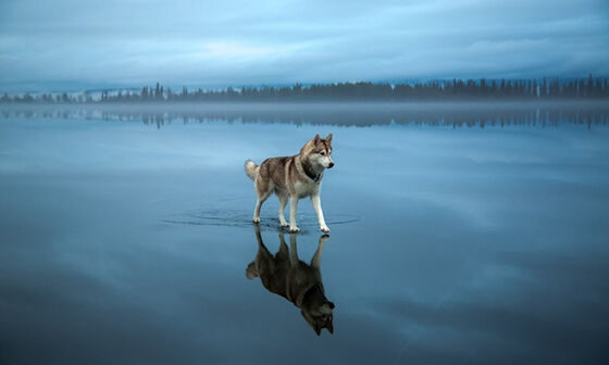 Foto Mengagumkan Tanpa Photoshop 1