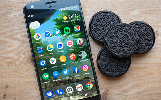 Hal Wajib Tahu Android Go 2