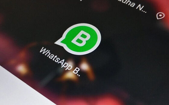 Perbedaan Whatsapp Business 3