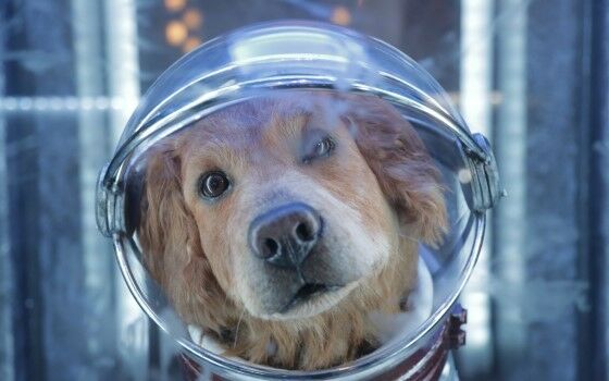 Karakter Hewan Marvel 3 B15fd