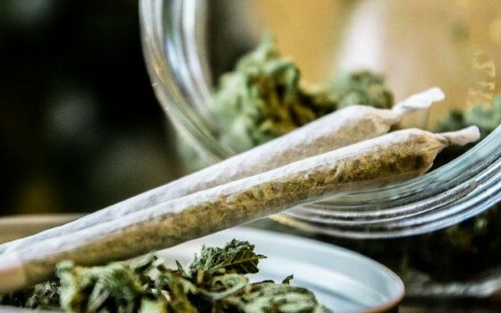 Ganja Mengandung Dna Alien 2 D4e4b