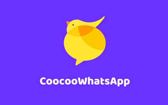 Coocoo Whatsapp 52f9a