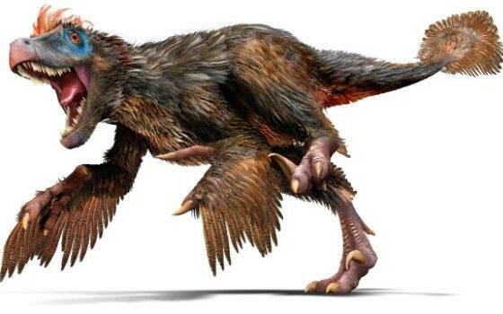 Mitos Dinosaurus 4 05127