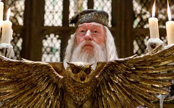 Wizardingworld Com 92107