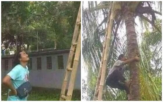 Potret Cowok Saling Bantu Ini Bikin Salah Paham Manjat Dd30f