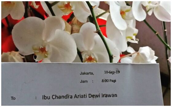 Artis Indonesia Yang Dapet Kado Dari Jokowi Ria Irawan Aed93
