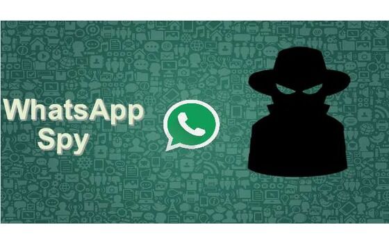 Whatsapp Spy 94804
