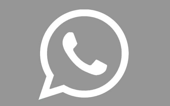 OGWhatsApp Pro 2401b