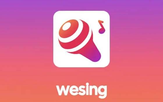 Wesing 73930