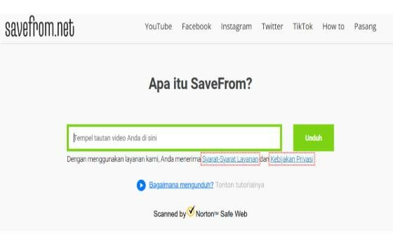 Savefrom Net 8a85c
