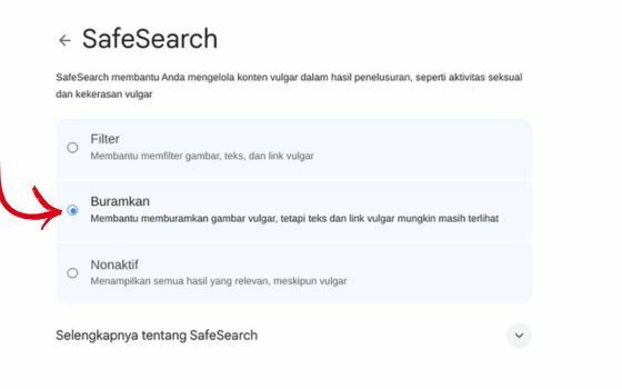 Mengaktifkan Safesearch 325d5